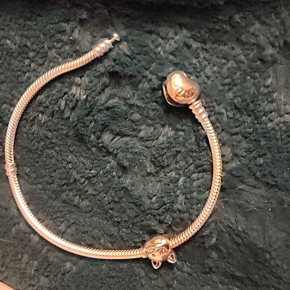 PANDORA - Picture 4 of 6